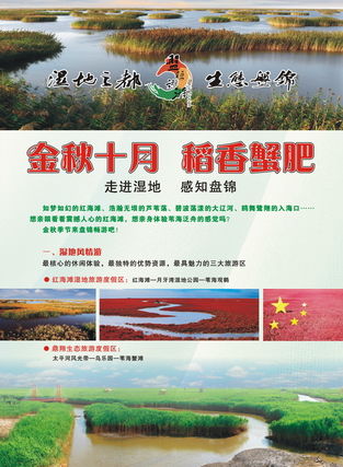 游客雜志廣告服務 連接全球旅行者，點亮品牌旅程